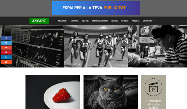 Expertweb-600x350