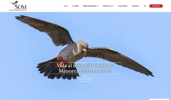 Societat Ornitològica de Menorca: web corporativa